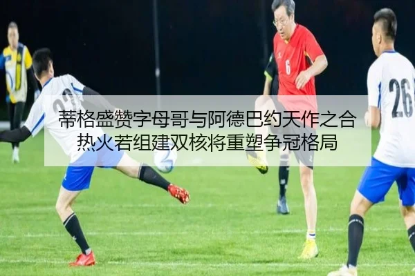 蒂格盛赞字母哥与阿德巴约天作之合 热火若组建双核将重塑争冠格局 - c7c7.app